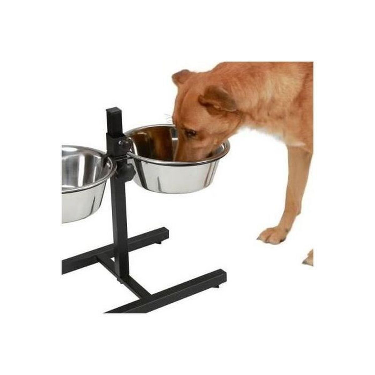 Un cane beve da una ciotola su un supporto.