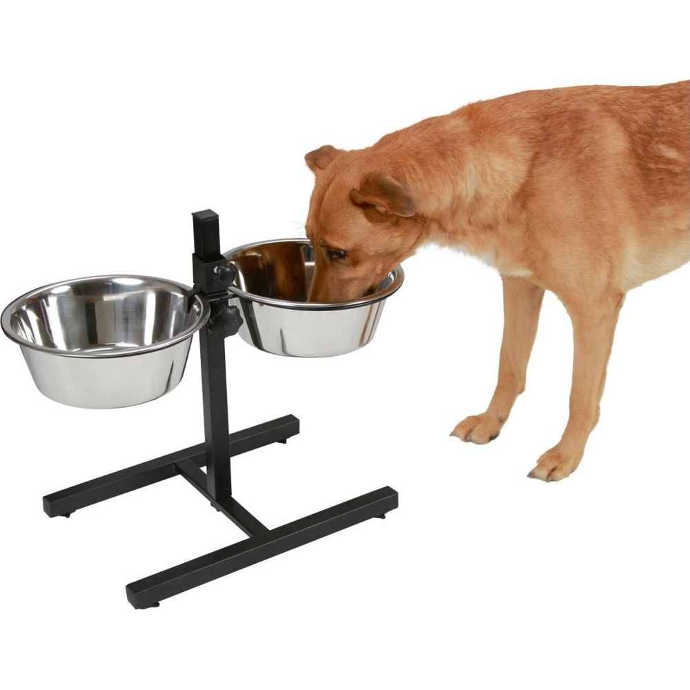 Un cane beve da una ciotola su un supporto.