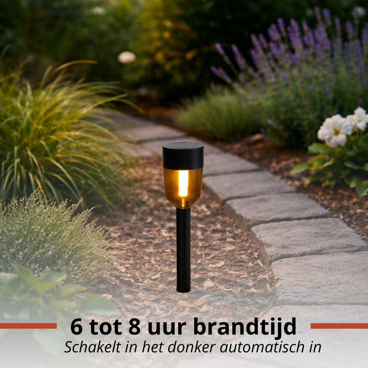 Garden path with a solar light that automatically lights up at dusk.