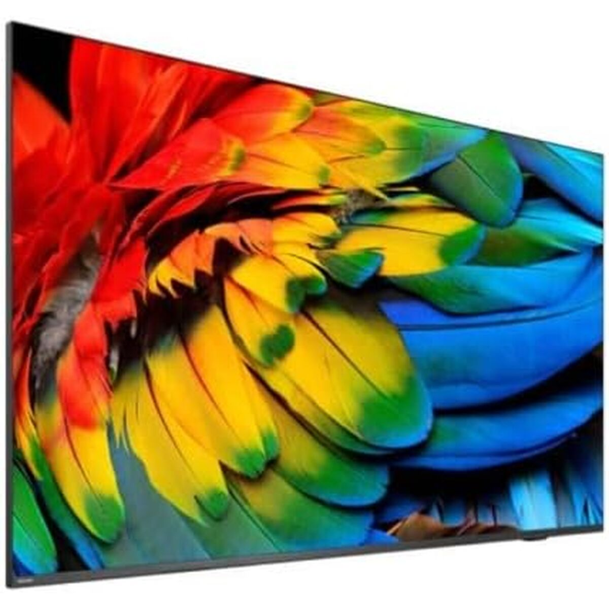 Telewizor wyświetla zbliżenie kolorowych piór papugi w kolorach czerwonym, żółtym, zielonym i niebieskim.