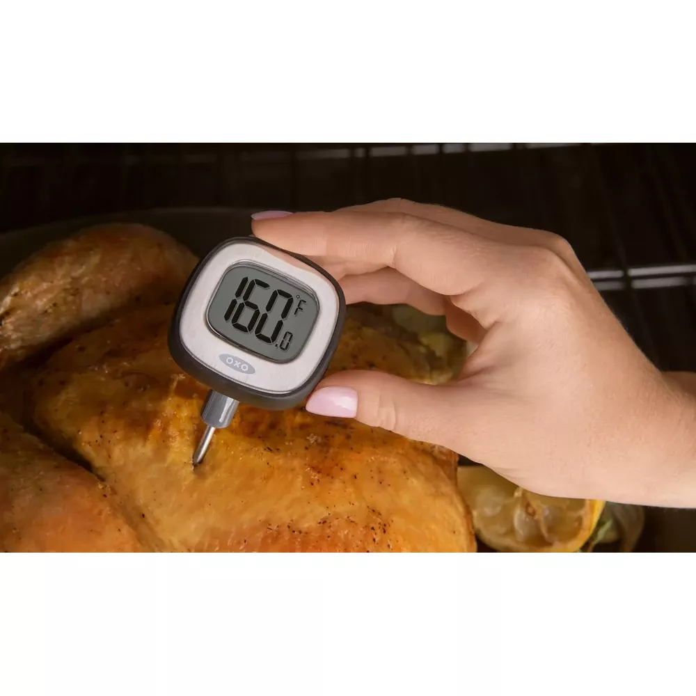 Una mano usa un termometro digitale per misurare la temperatura di un arrosto.