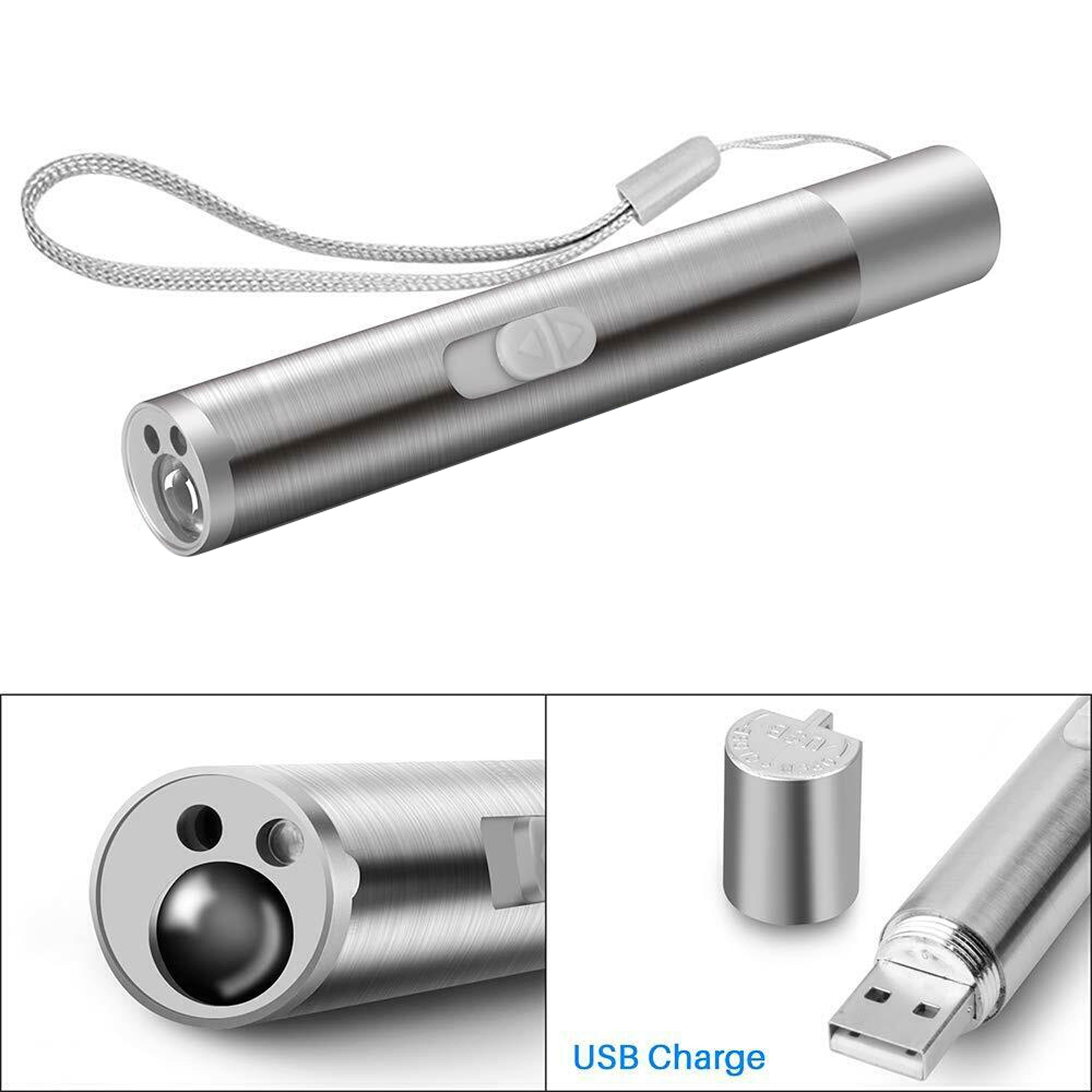 Silberner Laserpointer mit Schlaufe und USB-Ladeanschluss.