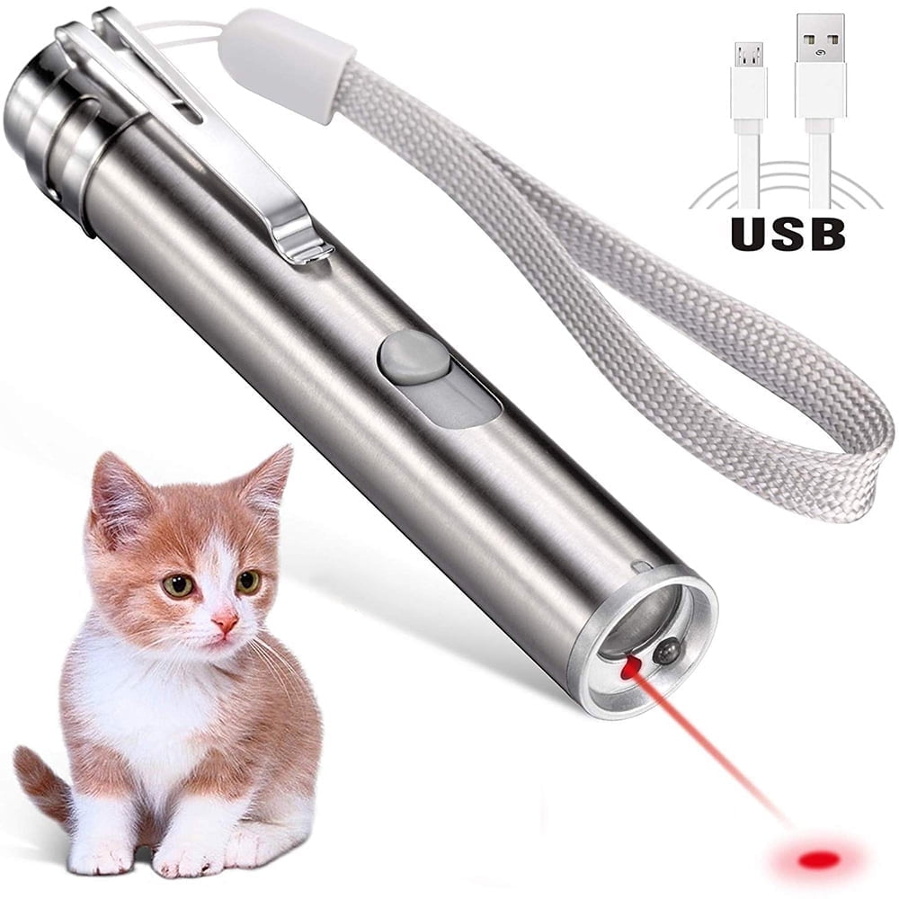 Ein silberner Laserpointer mit rotem Lichtstrahl neben einem Kätzchen.