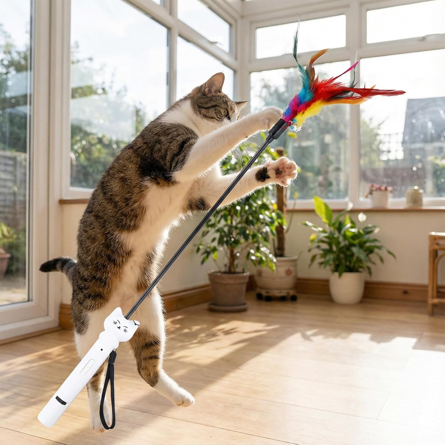 Eine Katze spielt mit einem Feder-Spielzeug in einem sonnigen Raum mit Pflanzen.
