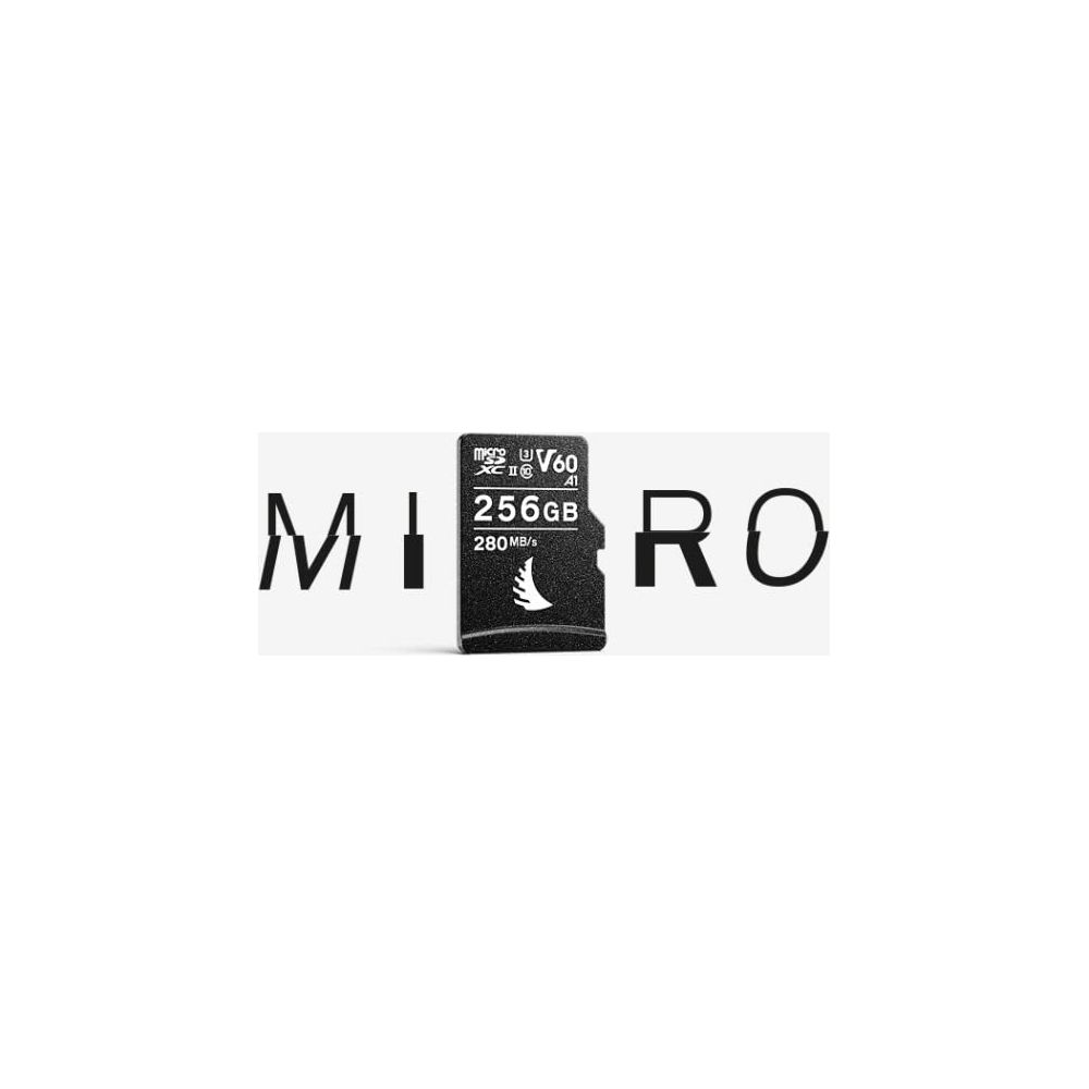 Scheda microSD da 256 GB con classe di velocità V60.