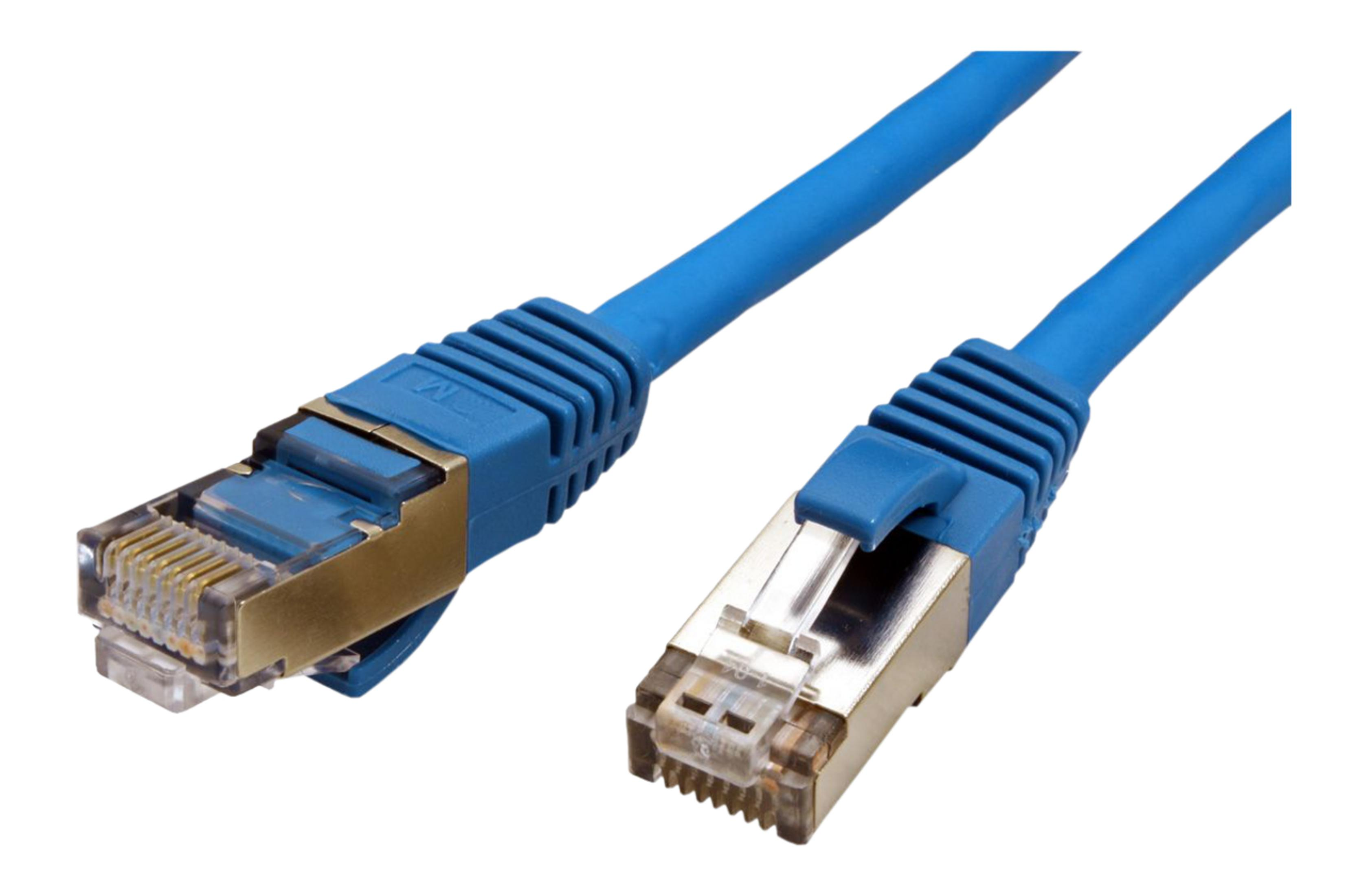 Twee blauwe Ethernetkabels met gouden connectoren op witte achtergrond.