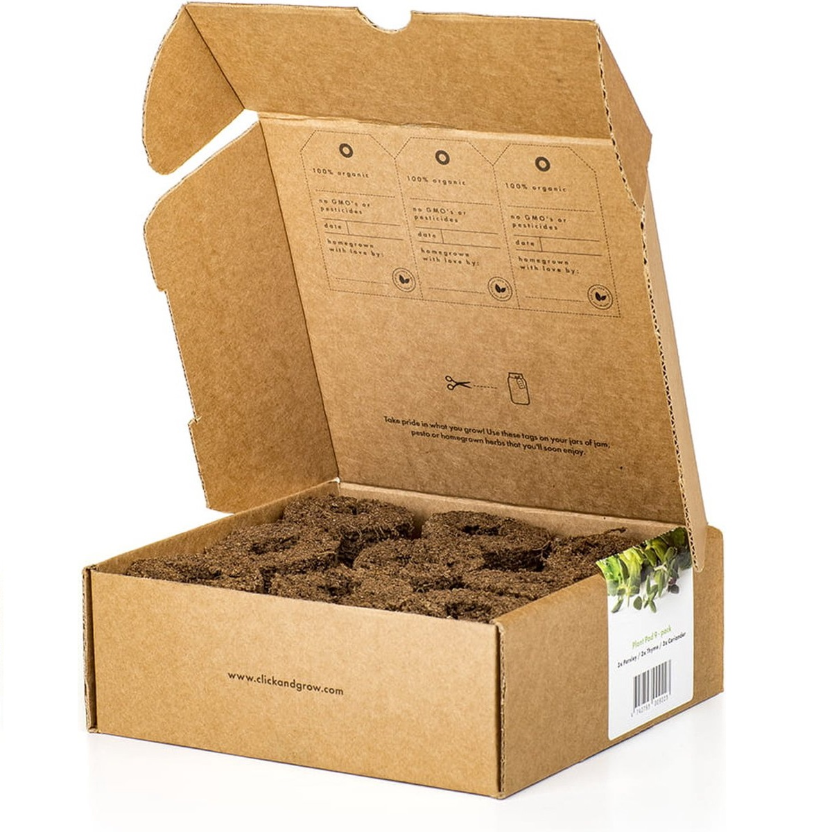 Open kartonnen doos gevuld met aarde, met zaadpeulen voor planten.
