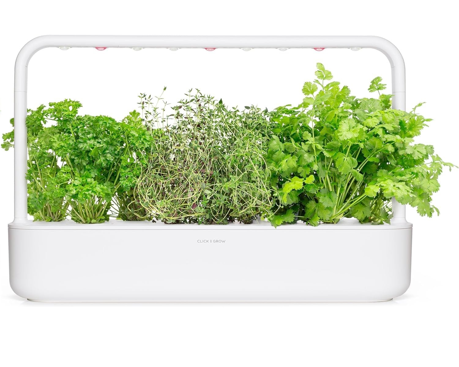 Jardin d'herbes intérieur blanc avec persil, thym et coriandre sous lumières LED.