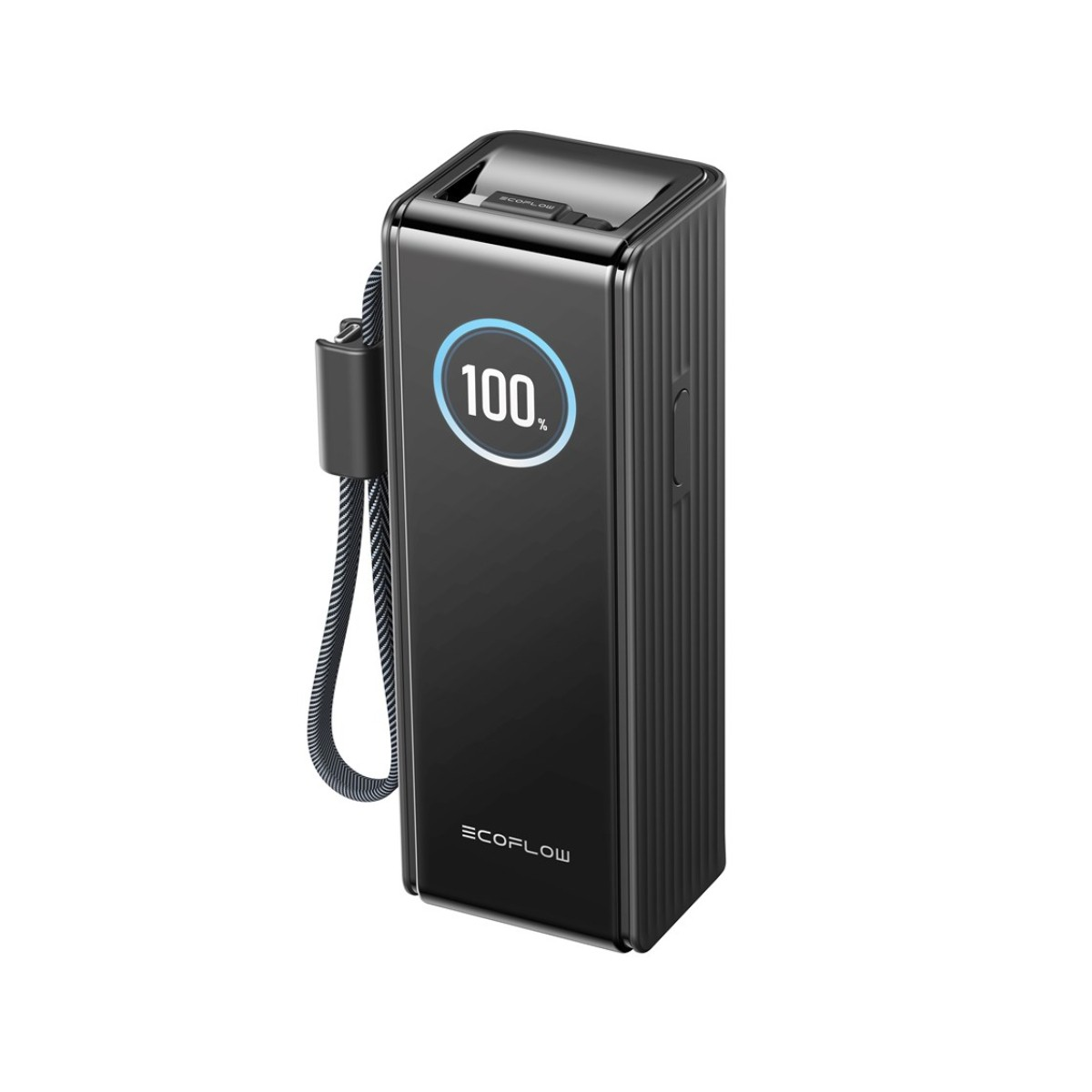 Stazione di alimentazione ECOFLOW nera con indicatore di carica al 100% e cavo.