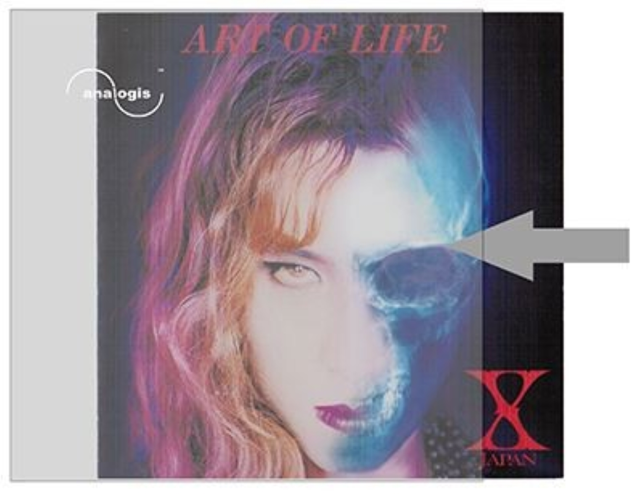 Okładka z twarzą i nałożoną czaszką, tytuł 'ART OF LIFE'.