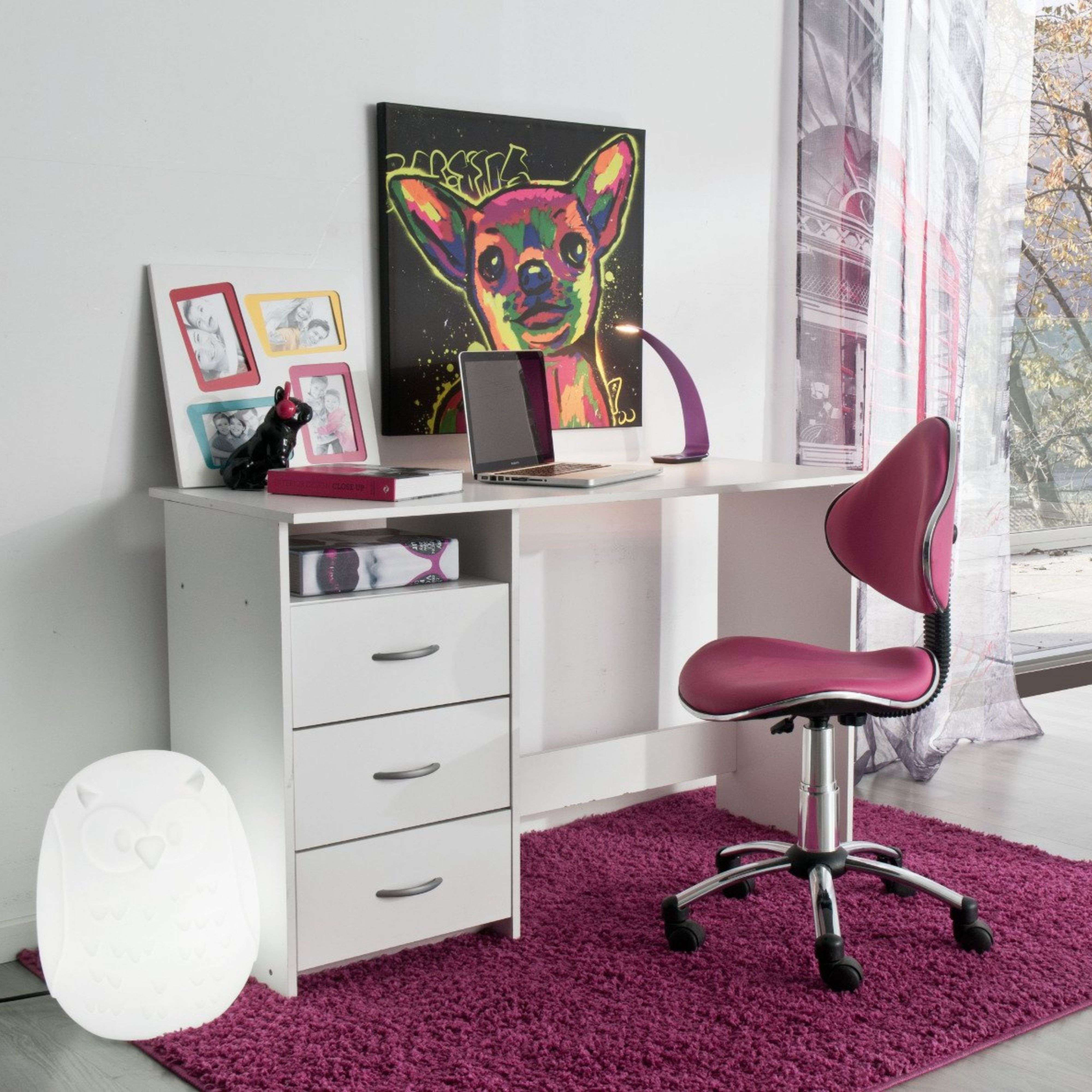 Escritorio con portátil, silla rosa, cuadro de perro colorido, marco de fotos y lámpara.