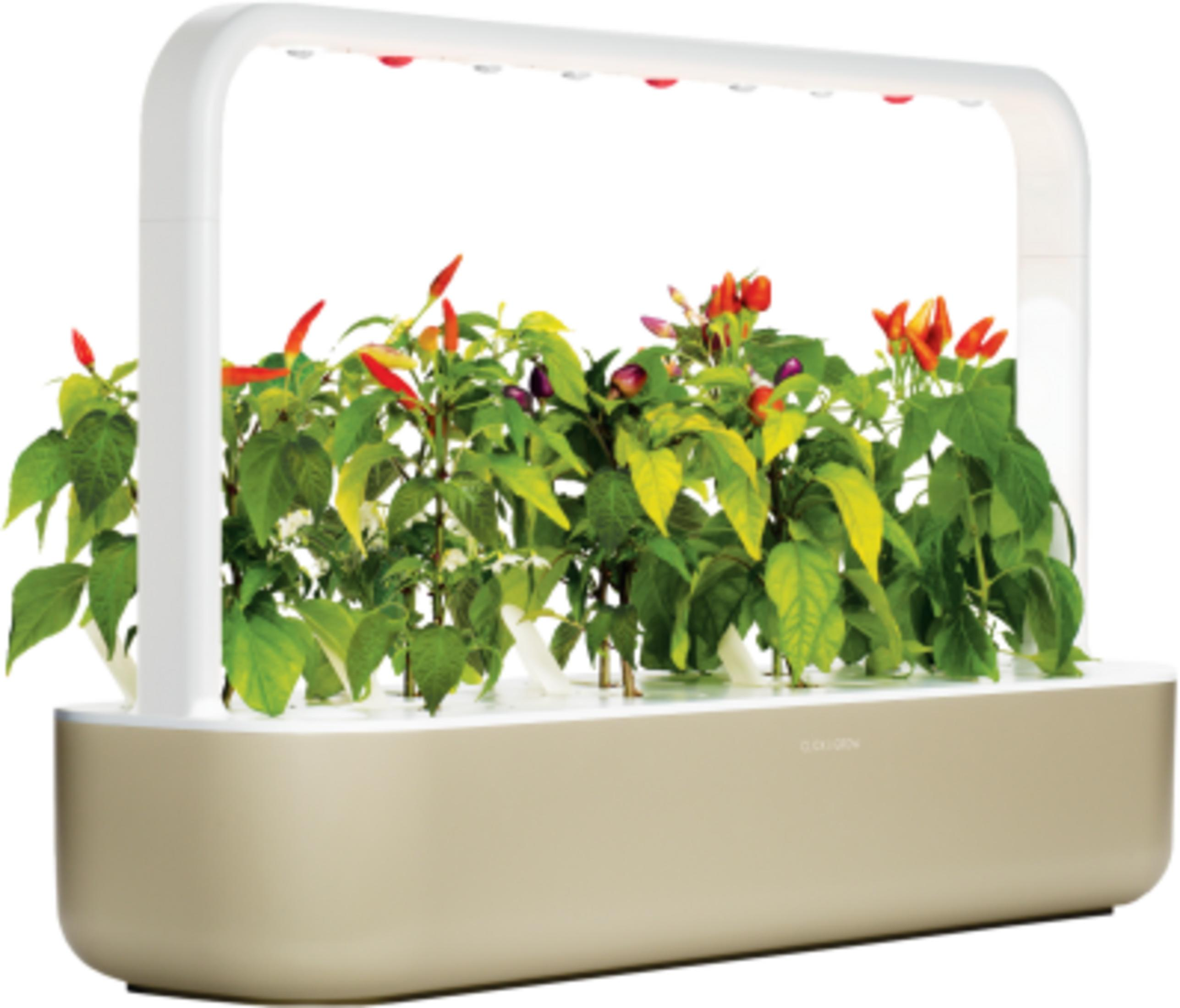 Een beige binnentuin met chilipeperplanten en LED-groeilampen.