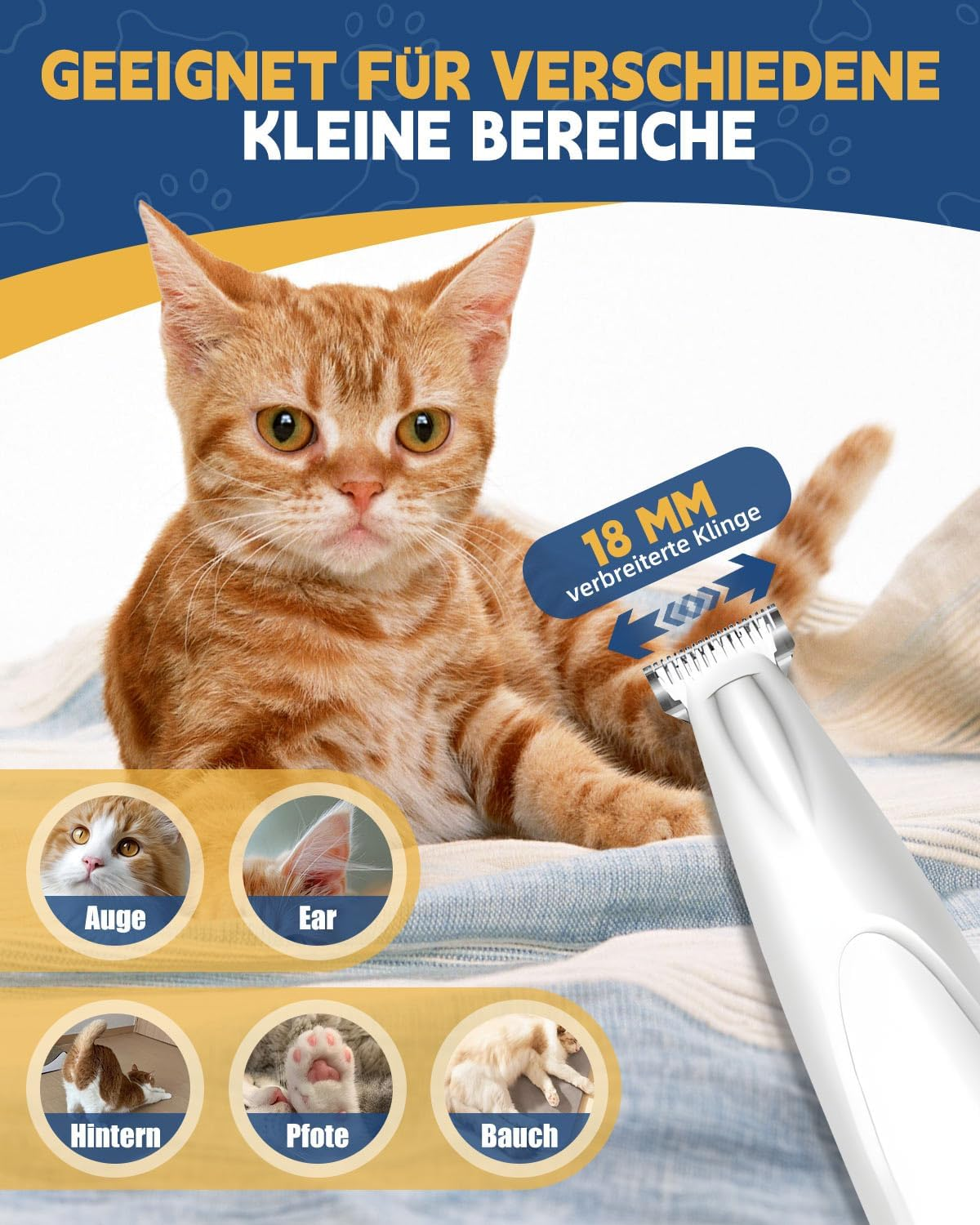 Orangefarbene getigerte Katze mit Pflegewerkzeug. Detailbilder zeigen Katzengesicht, Ohr, Hinterteil, Pfote und Bauch.