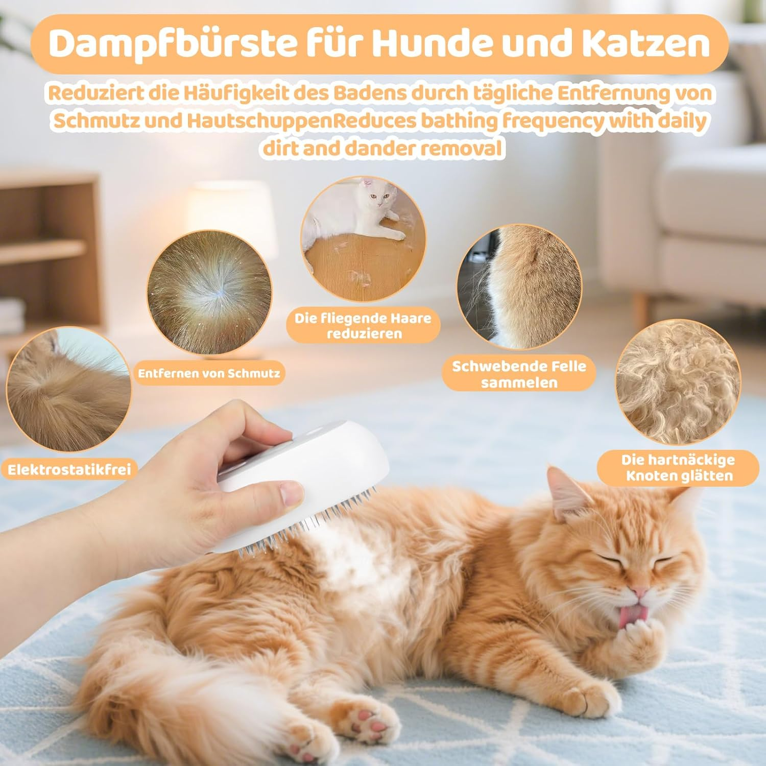Eine Hand benutzt eine Dampfbürste an einer Katze, die auf einem Teppich liegt.