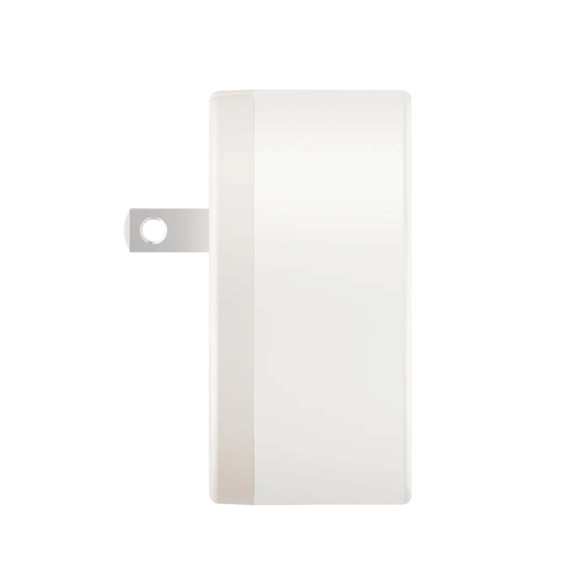 Un alimentatore bianco con due pin piatti e un foro in un pin.