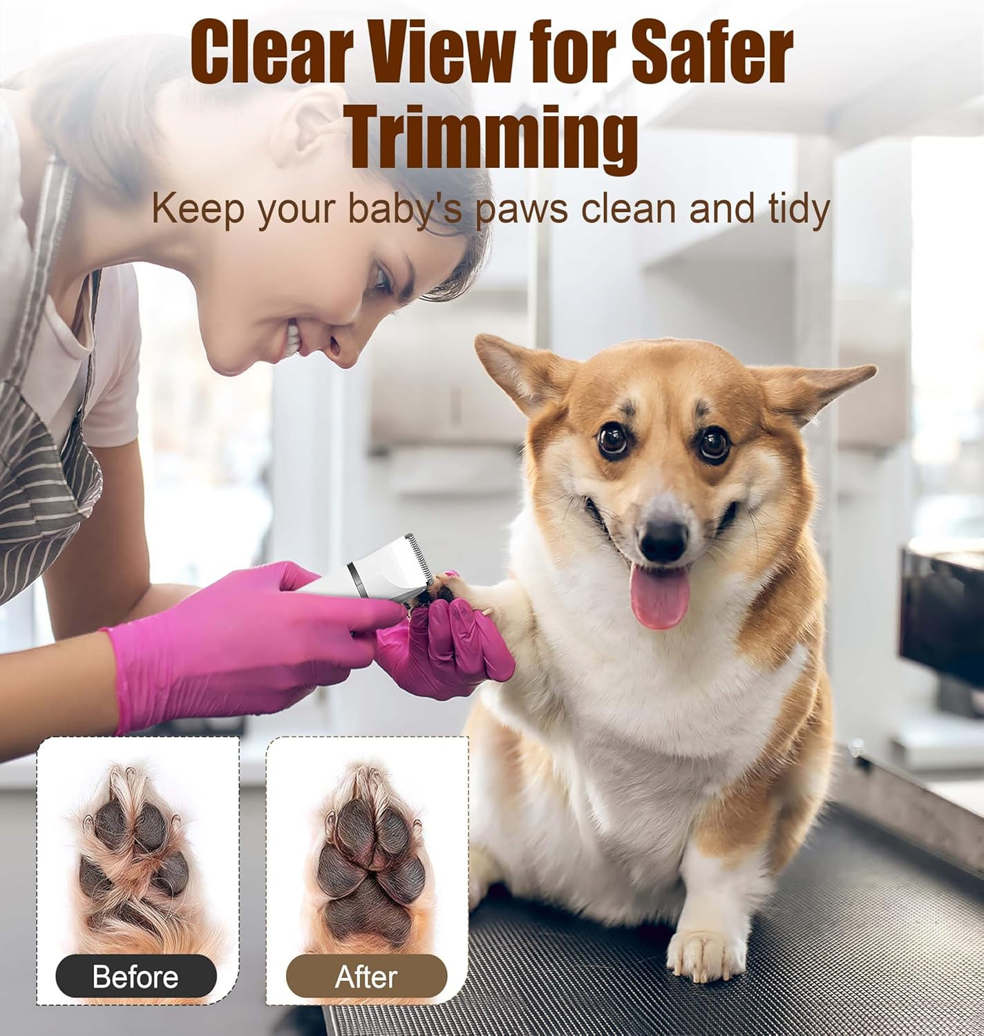 Ein Corgi wird von einer Frau mit rosa Handschuhen die Pfoten getrimmt.