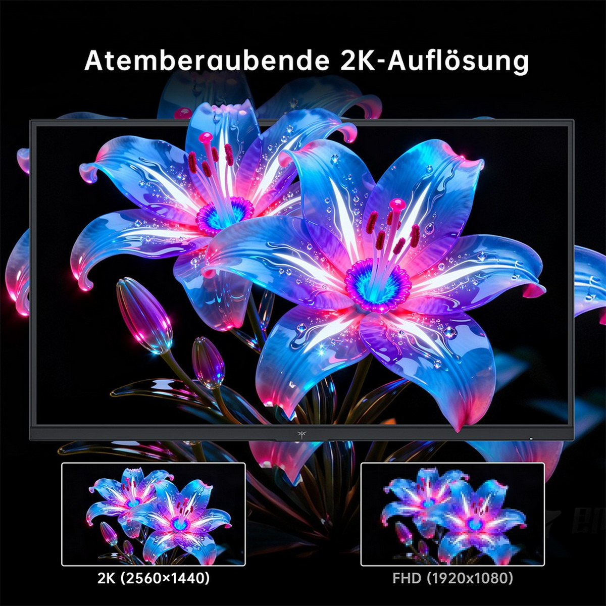 Zwei blaue und pinke Blumen auf einem dunklen Hintergrund, mit Auflösungsdetails.