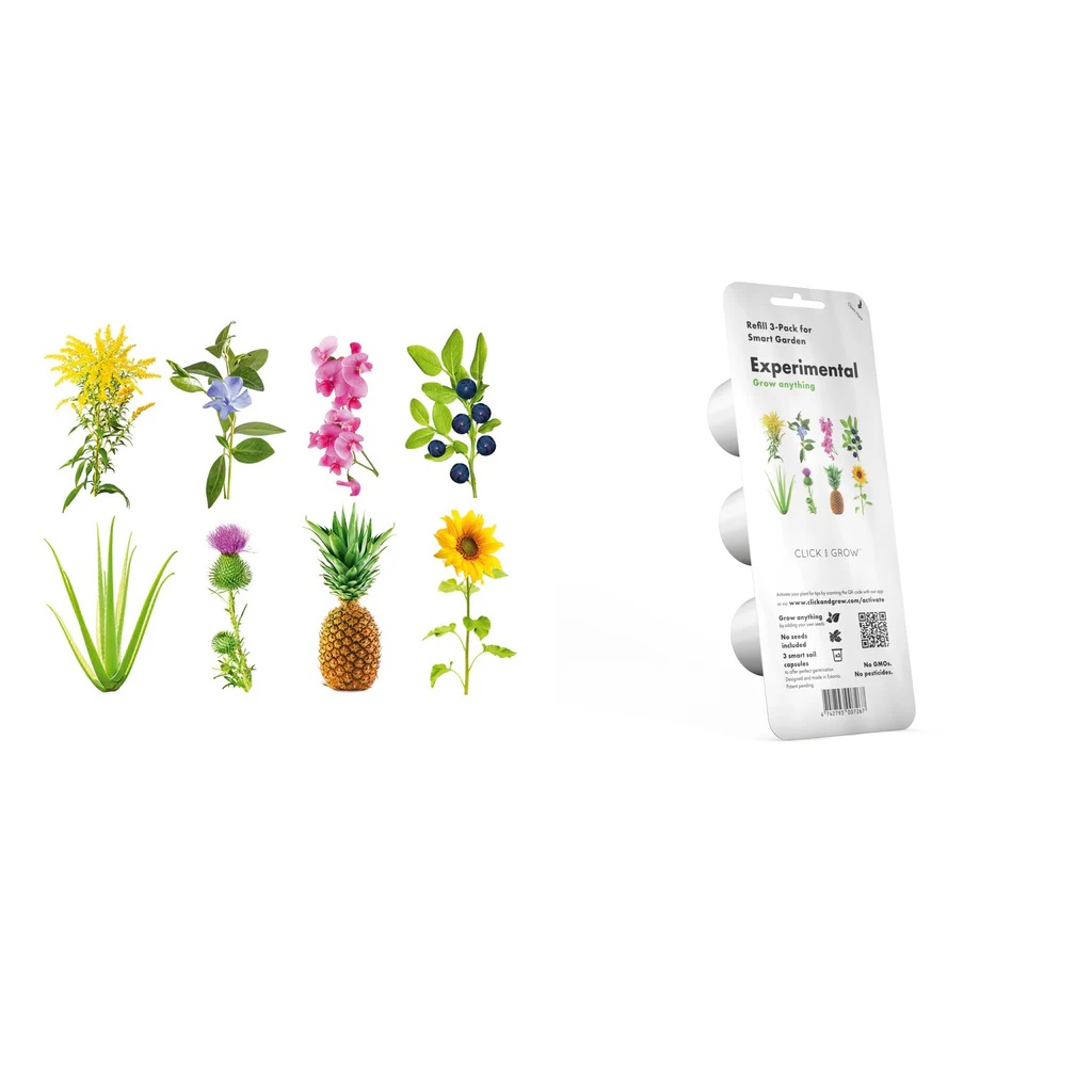 Plantes diverses : aloès, chardon, ananas, tournesol, baies, fleurs.