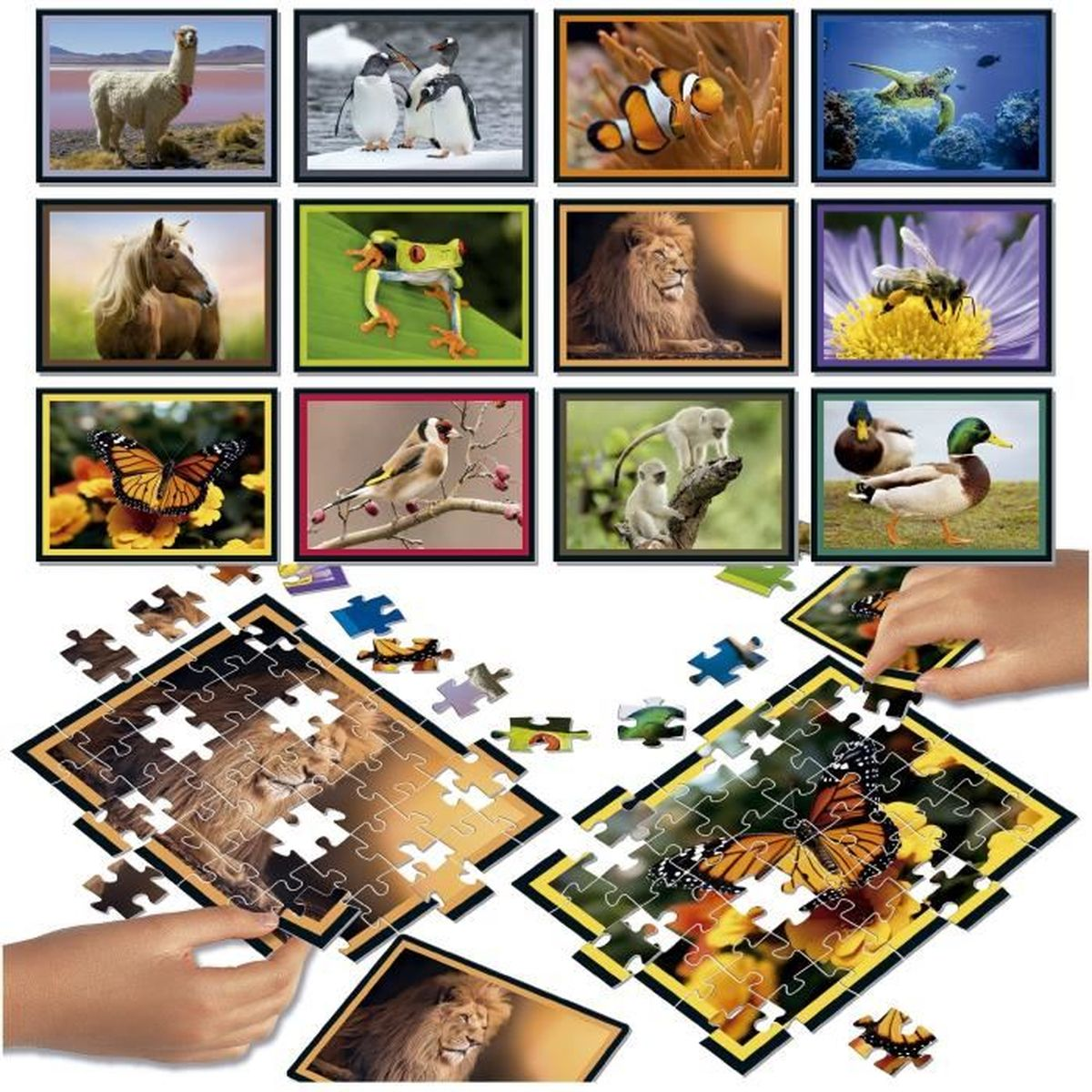 Zwölf Bilder von Tieren, Puzzleteile und Hände, die Puzzles zusammensetzen.