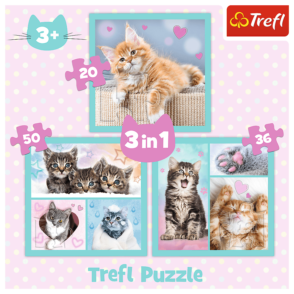 Verschillende kattenafbeeldingen in puzzels, 3 in 1, Trefl Puzzel