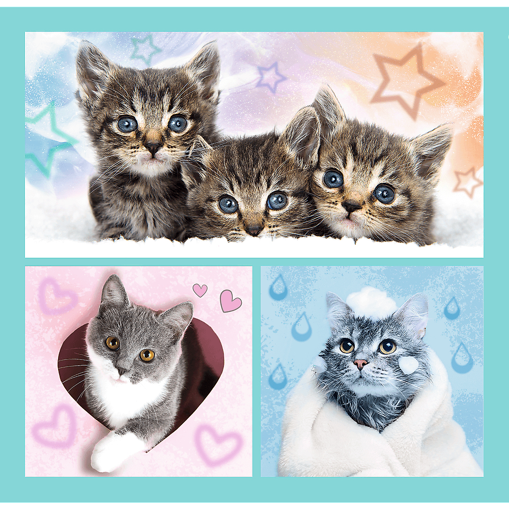 Drie kittens met blauwe ogen, een grijs kitten in een hart, een gebaad kitten.