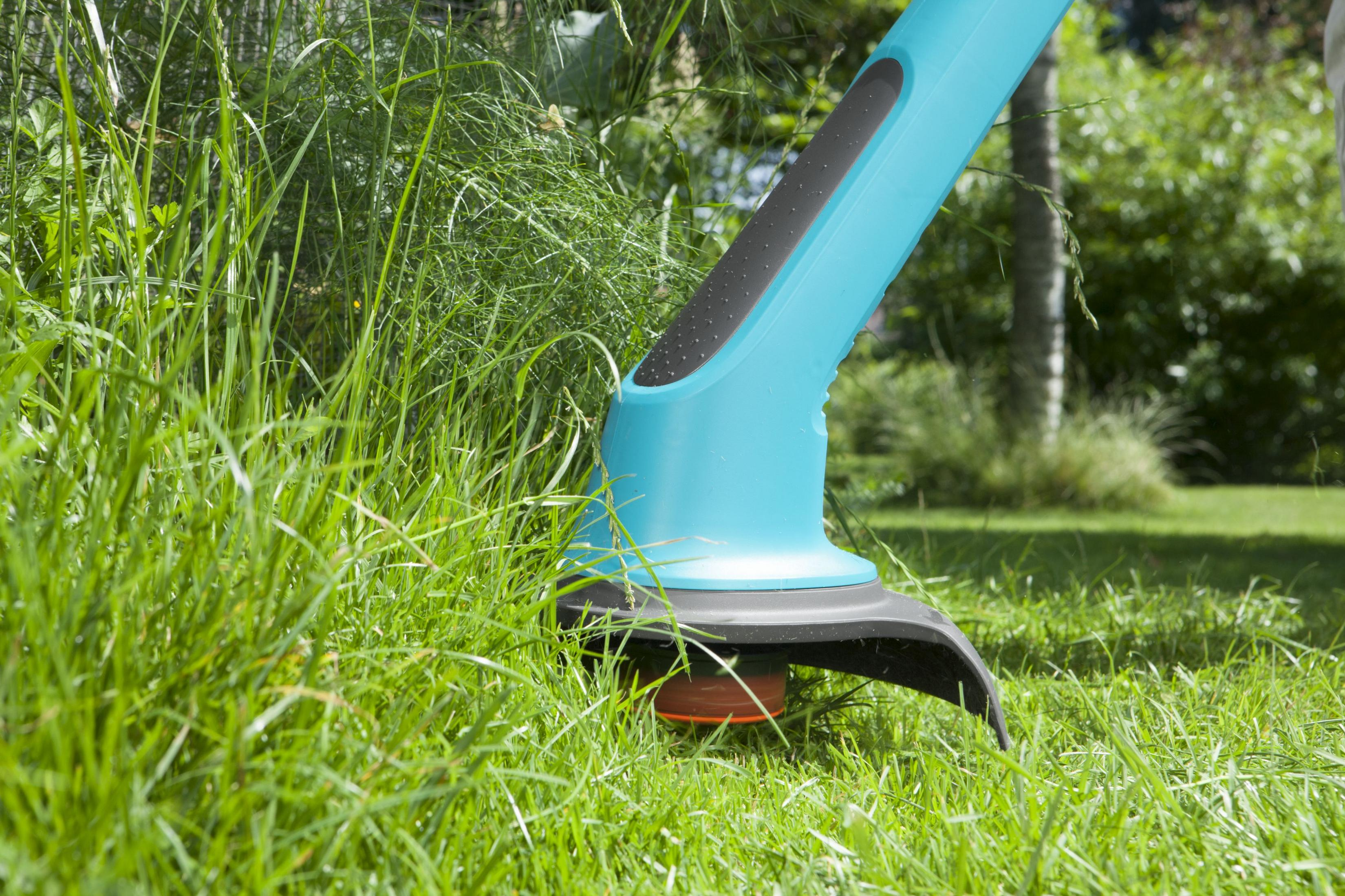 Ein blauer Rasentrimmer schneidet grünes Gras in einem Garten.