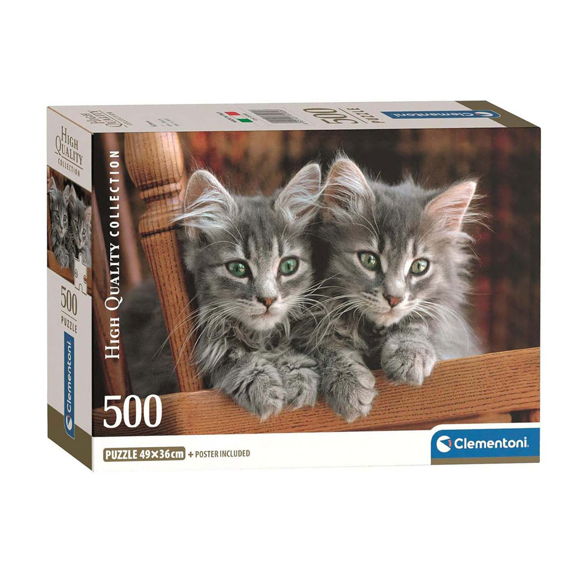 Twee pluizige grijze kittens met groene ogen zitten achter een houten hek.