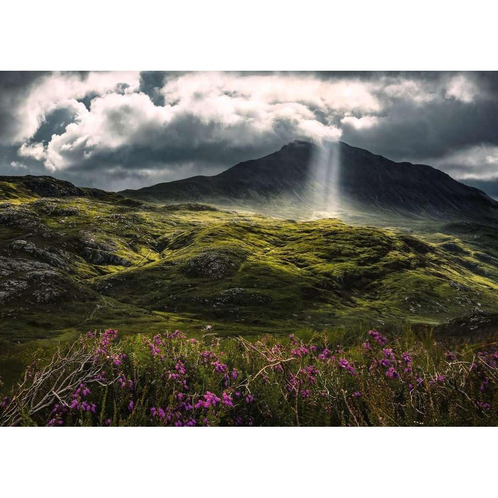 Sonnenstrahlen durchdringen Wolken über einer grünen, moosigen Berglandschaft mit lila Blumen.