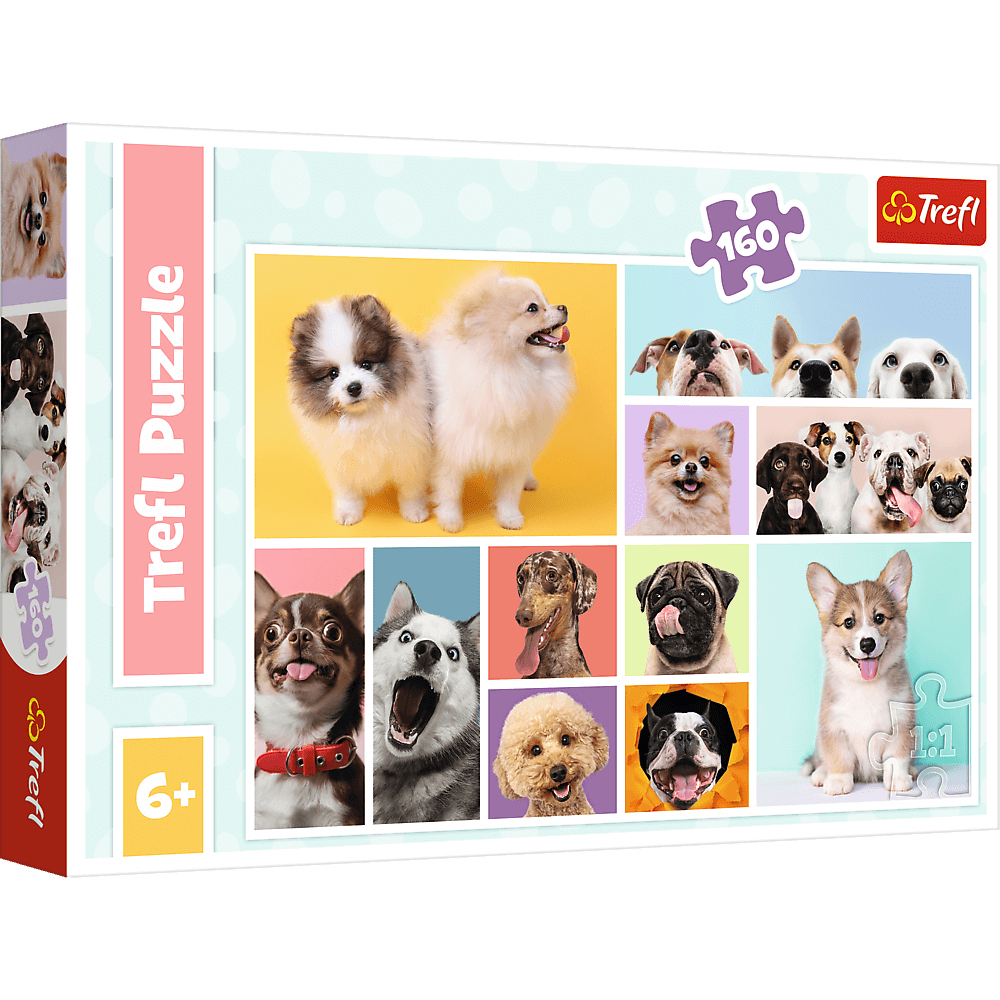 Boîte de puzzle avec diverses races de chiens et marque Trefl Puzzle.