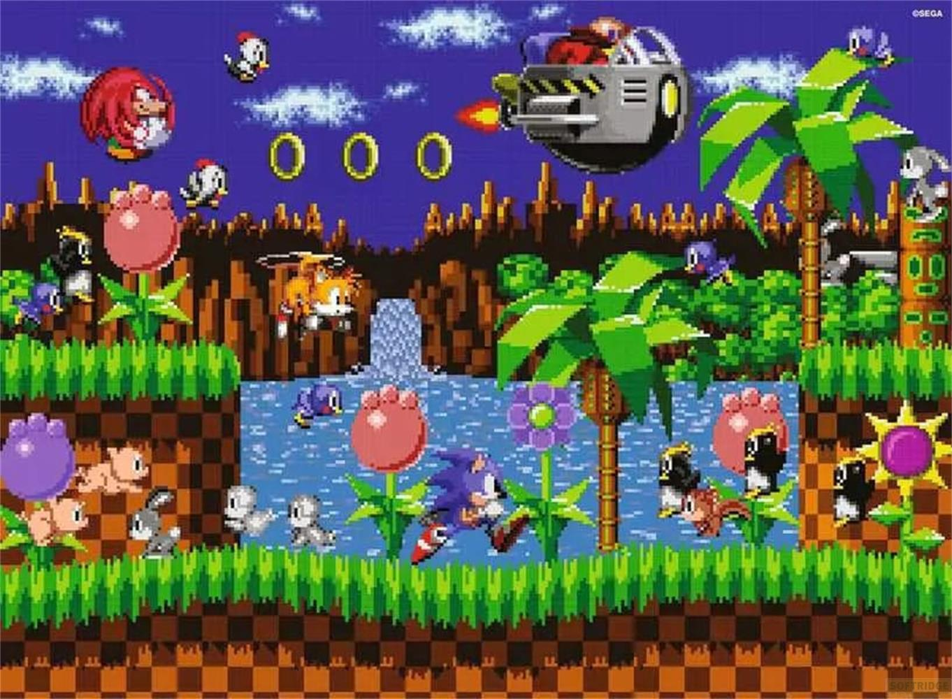 Sonic e amici combattono il Dr. Eggman in un paesaggio verde e collinare con acqua e anelli.