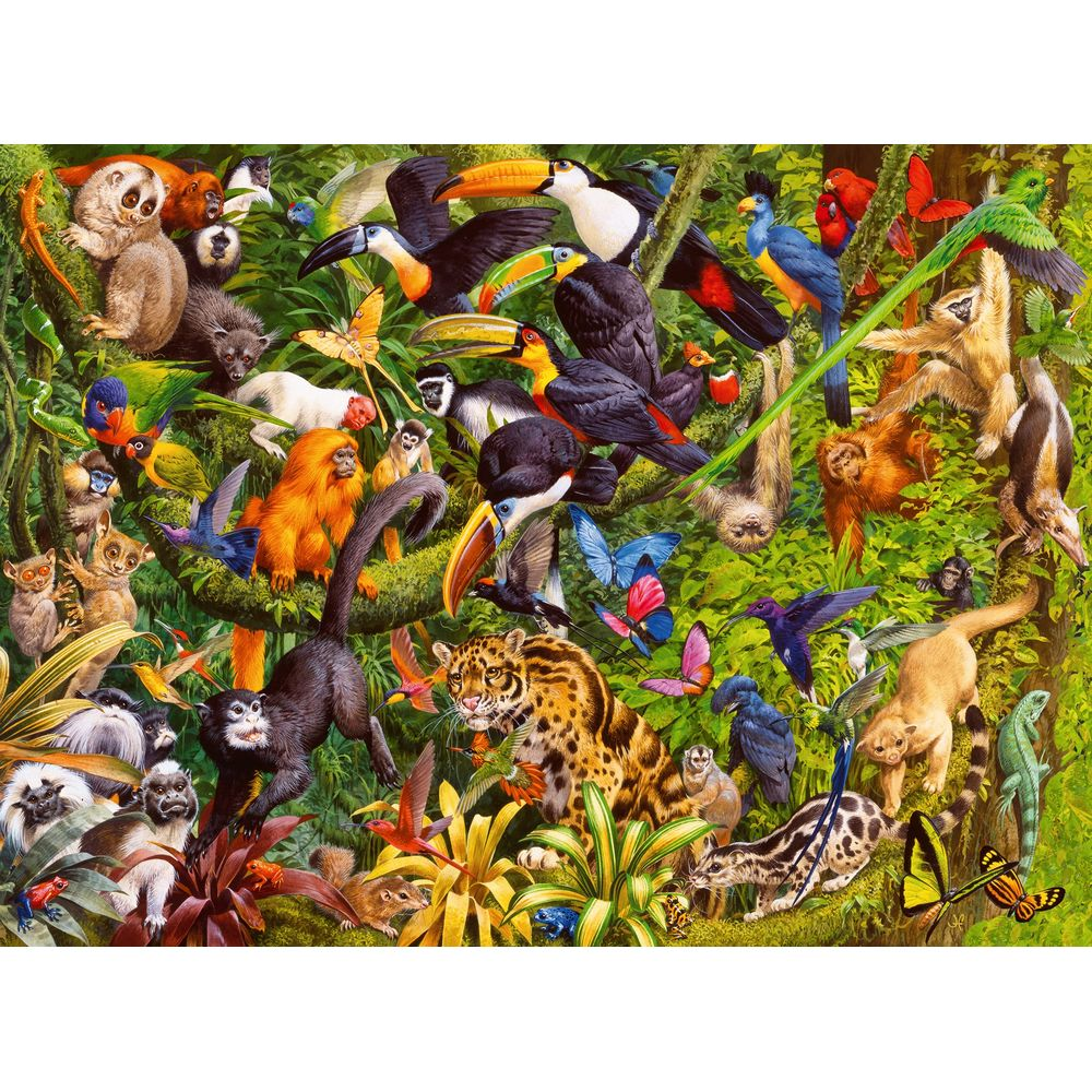Molti animali e uccelli nella giungla, tra cui scimmie, tucani, un giaguaro e farfalle.