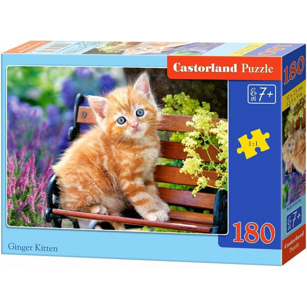 Un gatito naranja se sienta en un banco de madera en un jardín con flores moradas y amarillas.