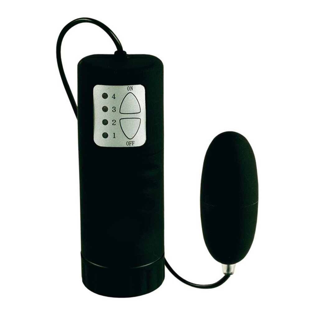 Schwarzer Vibrator mit Fernbedienung und Einstellknöpfen