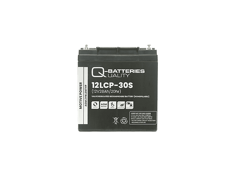 QUALITY BATTERIES 12LCP-30S Batterietechnologie Akkus Bleiakkus, 30Ah ...