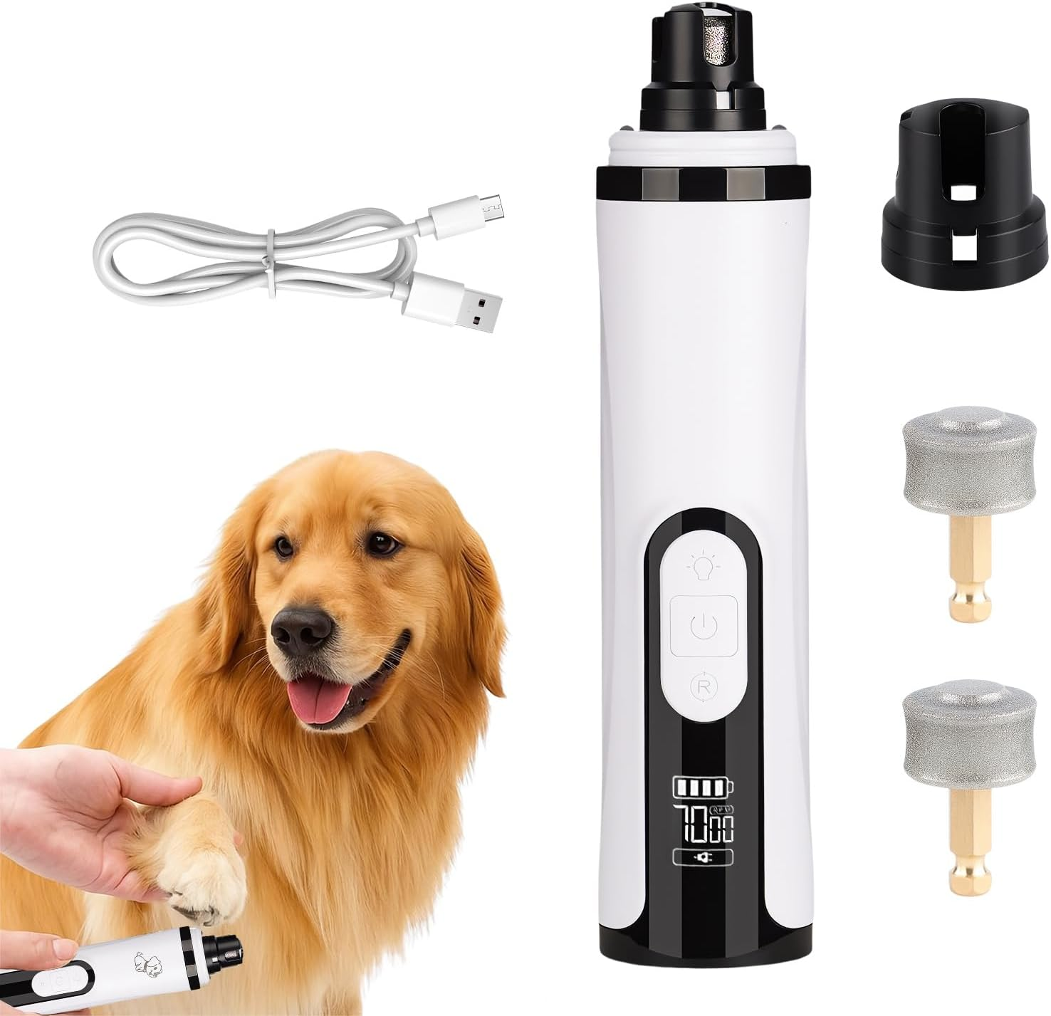 Ein Golden Retriever wird mit einem elektrischen Nagelschleifer die Krallen geschnitten. Zubehör ist zu sehen.