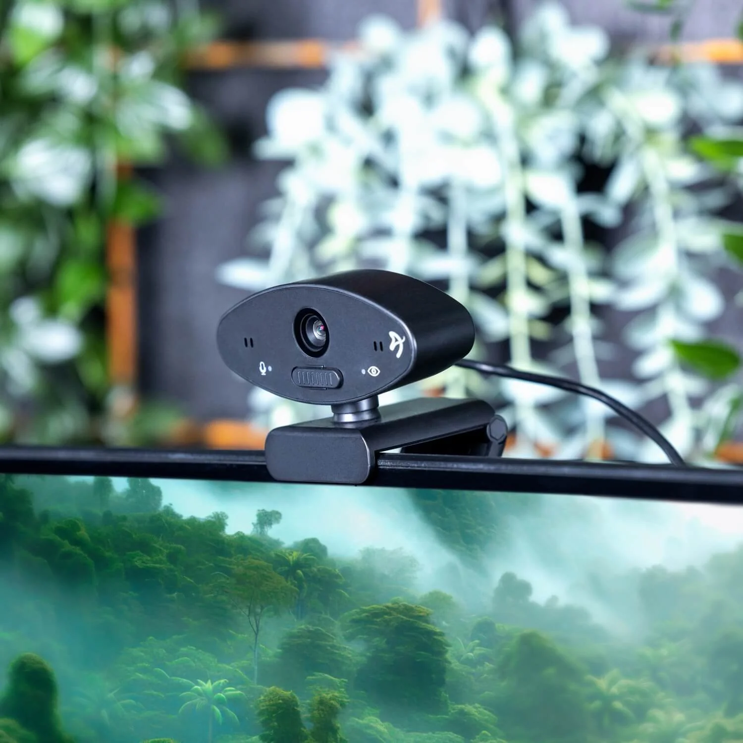 Una webcam nera è agganciata a un monitor che mostra una foresta pluviale nebbiosa.