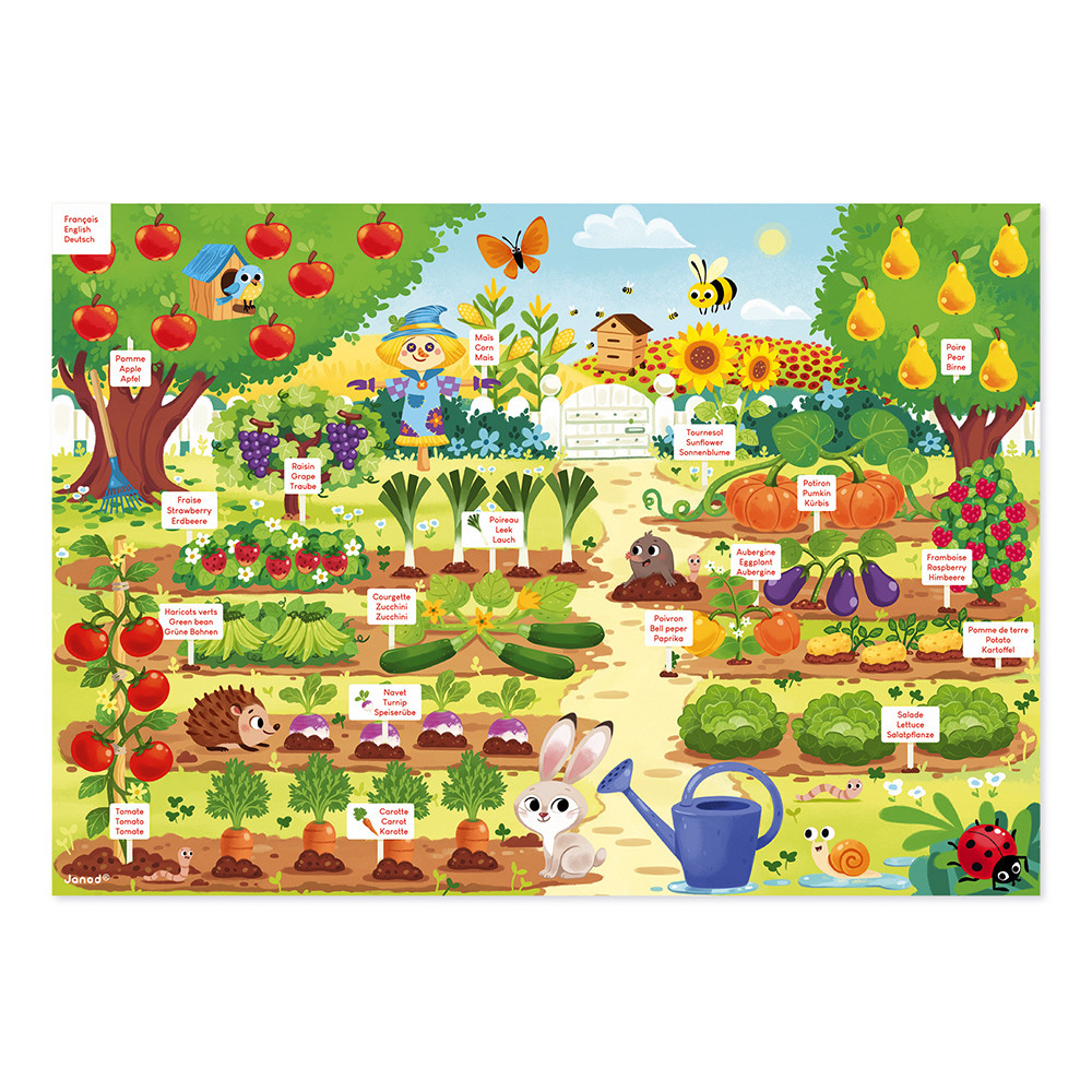 Illustrazione colorata di giardino con frutta, verdura, animali e insetti.