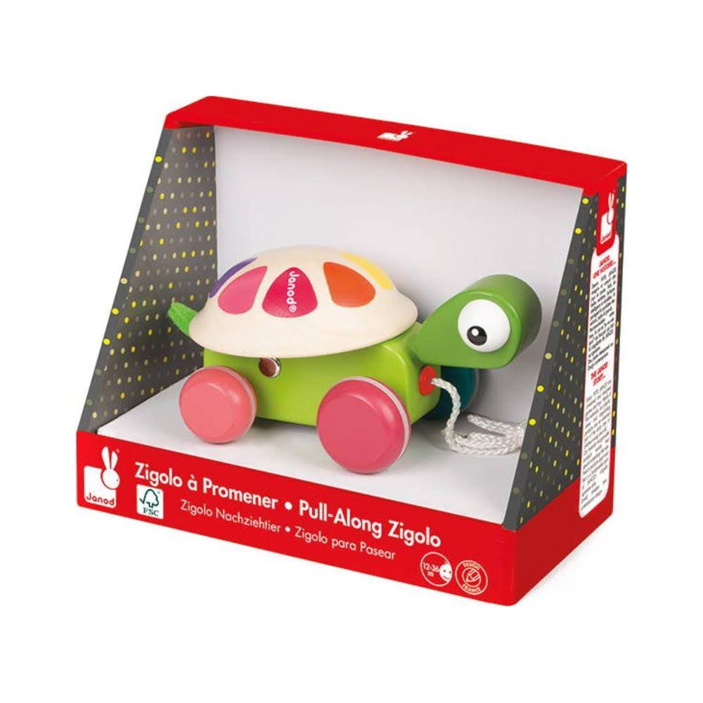 Gioco tartaruga verde con guscio a segmenti colorati, su ruote, con corda.
