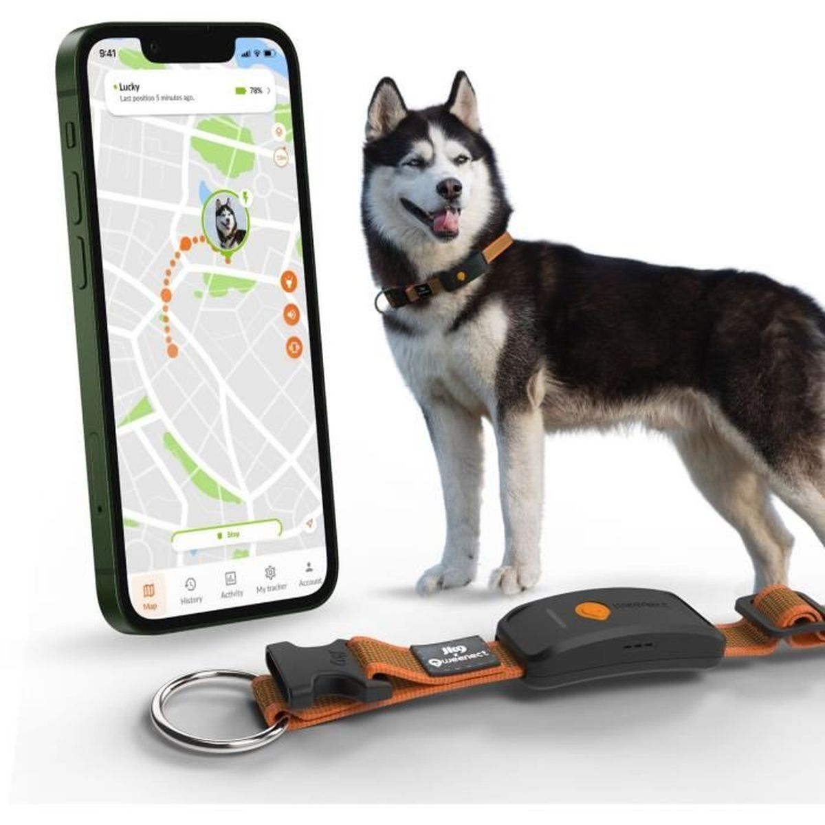 Husky-Hund neben Telefon mit Karten-App. GPS-Tracker am Halsband.