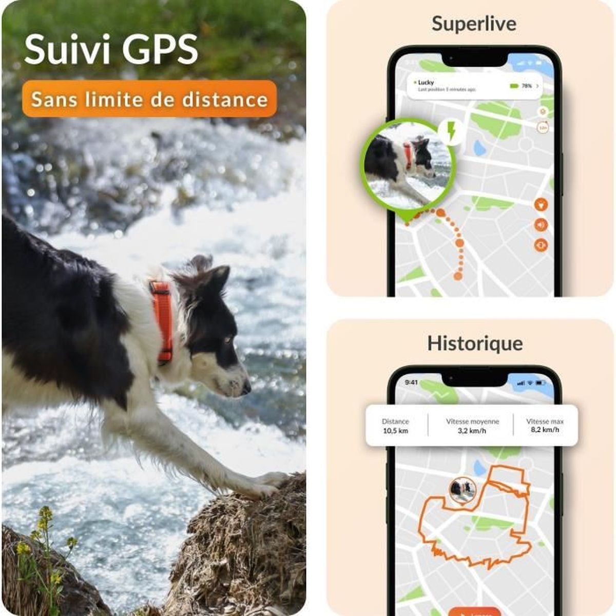 Border Collie am Wasser, überlagert mit Handy-Screens für GPS-Tracking.