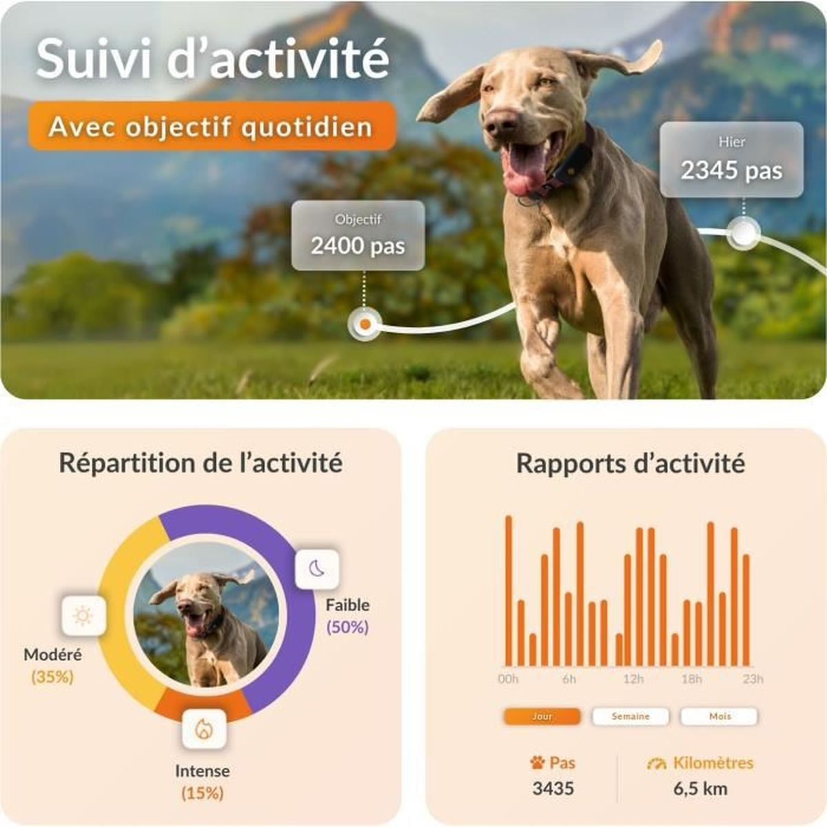 Ein Hund läuft im Freien, mit Aktivitätsstatistiken und Diagrammen.