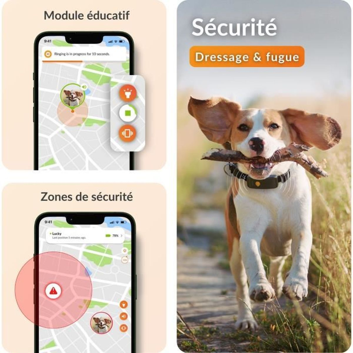 Ein Beagle rennt mit einem Ast im Maul, Handy-Screens zeigen Hundetracker-App.