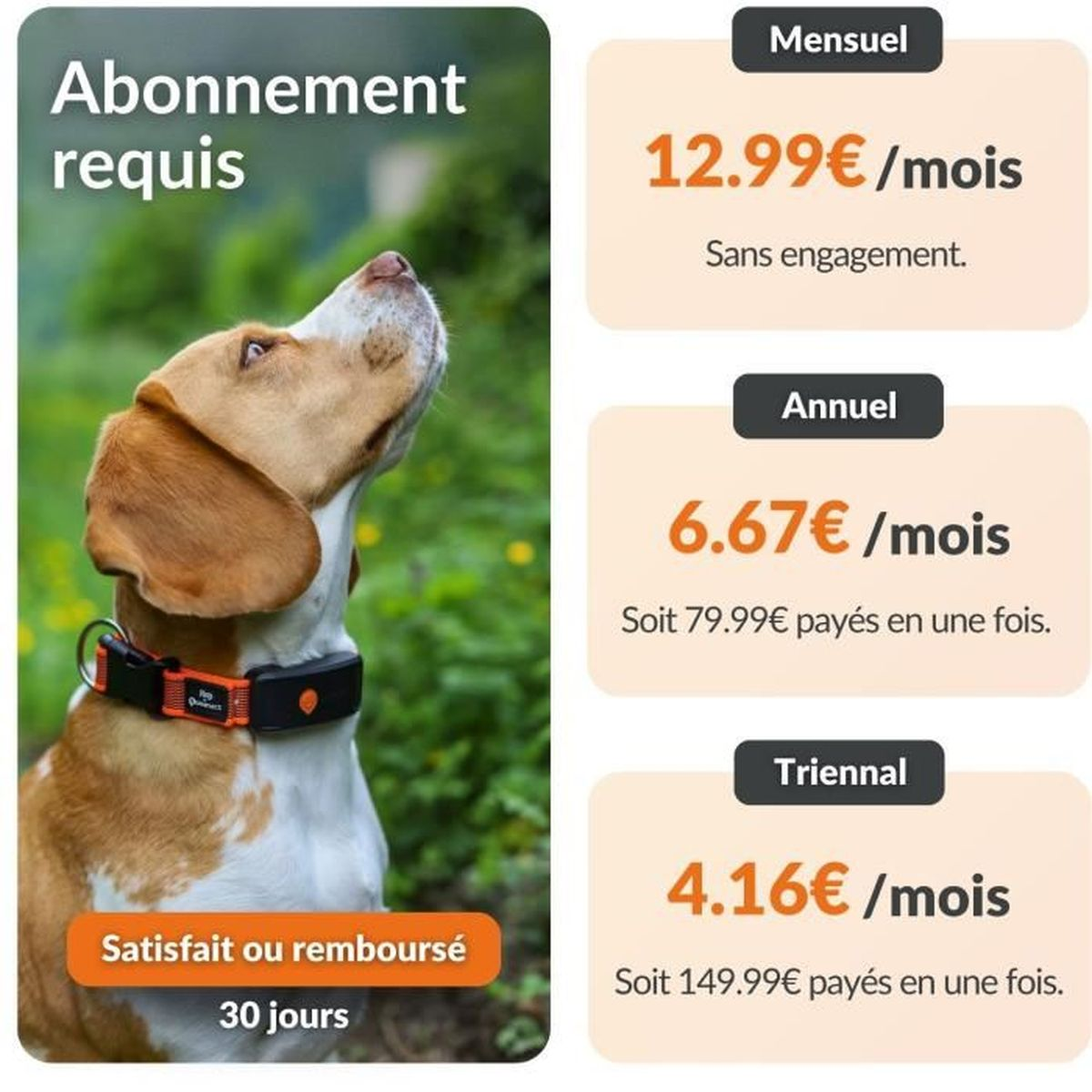 Ein Hund mit einem Halsband steht im Freien. Preise für Abonnements sind aufgeführt.