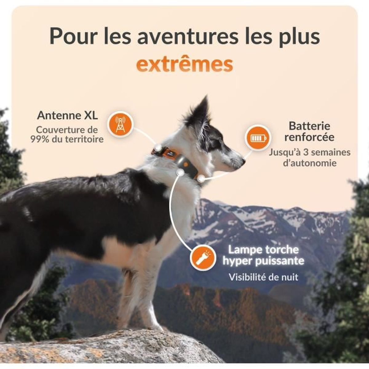 Ein Hund mit einem GPS-Tracker-Halsband steht auf einem Felsen mit Bergen im Hintergrund.