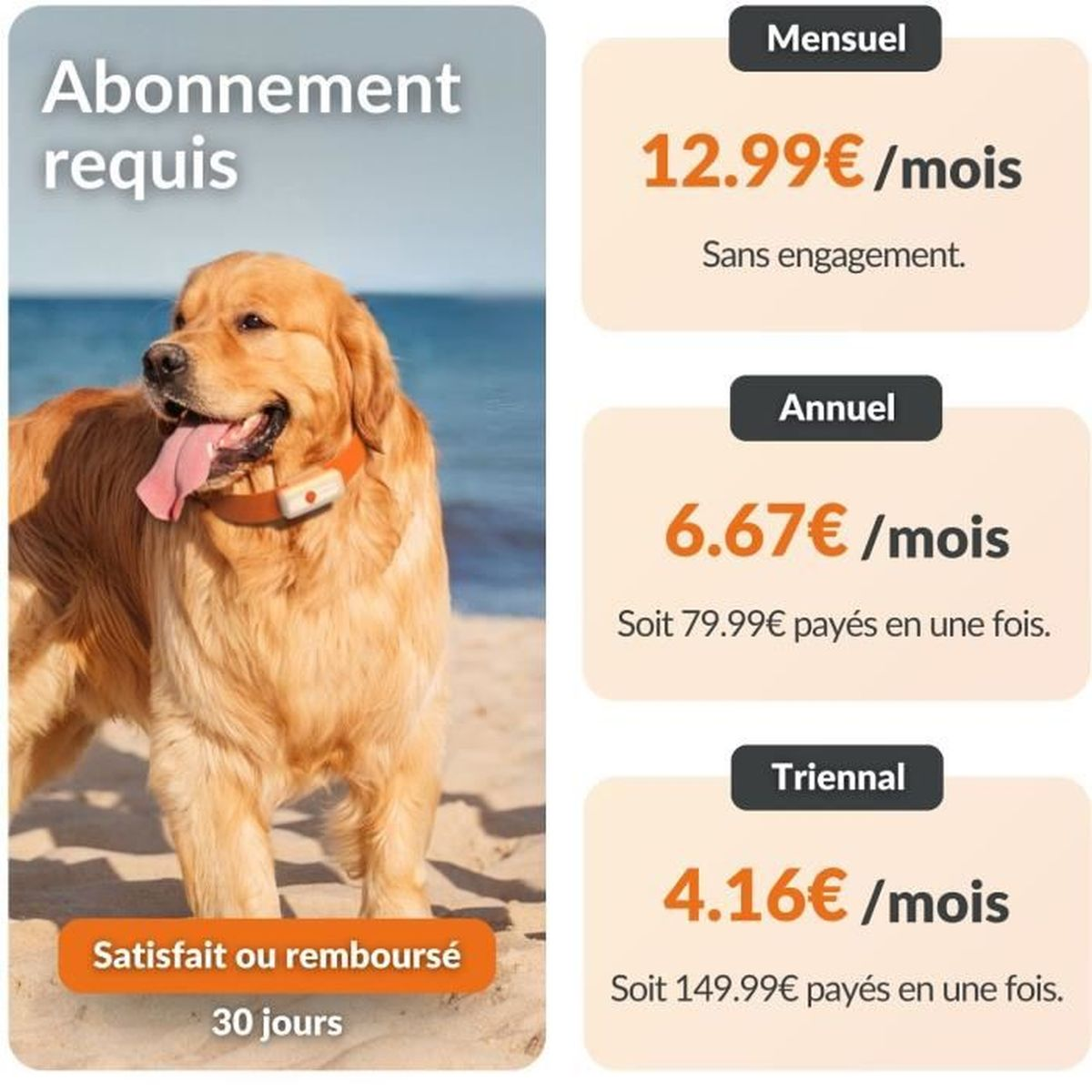 Golden Retriever mit Halsband am Strand. Preise für Abos: Monatlich 12,99€, Jährlich 6,67€, Dreijährlich 4,16€.