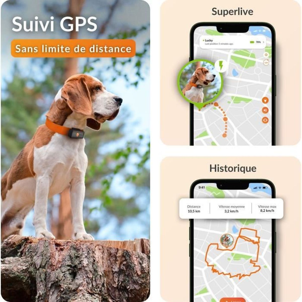Ein Hund mit GPS-Halsband sitzt auf einem Baumstumpf. Daneben sind Handy-Screens.