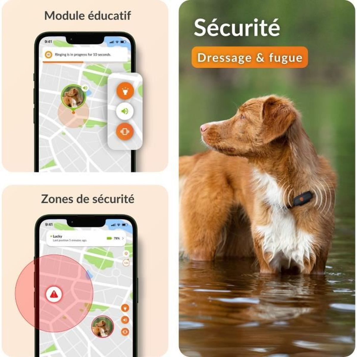 Ein Hund mit GPS-Tracker im Wasser. Handy-Screens zeigen Karten und Zonen.