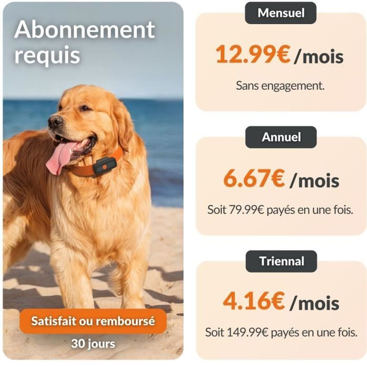 Goldener Retriever mit orangefarbenem Halsband am Strand, Preise für Abonnements.