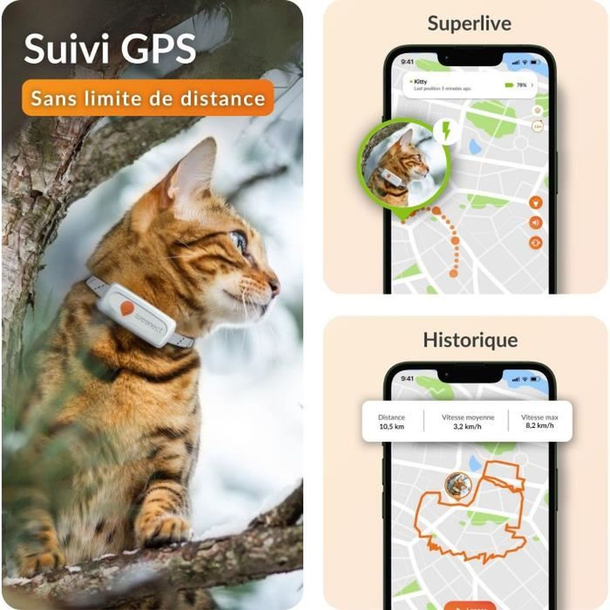 Ein Bengalkatze mit GPS-Halsband sitzt auf einem Ast. Zwei Handy-Screens zeigen Karten.