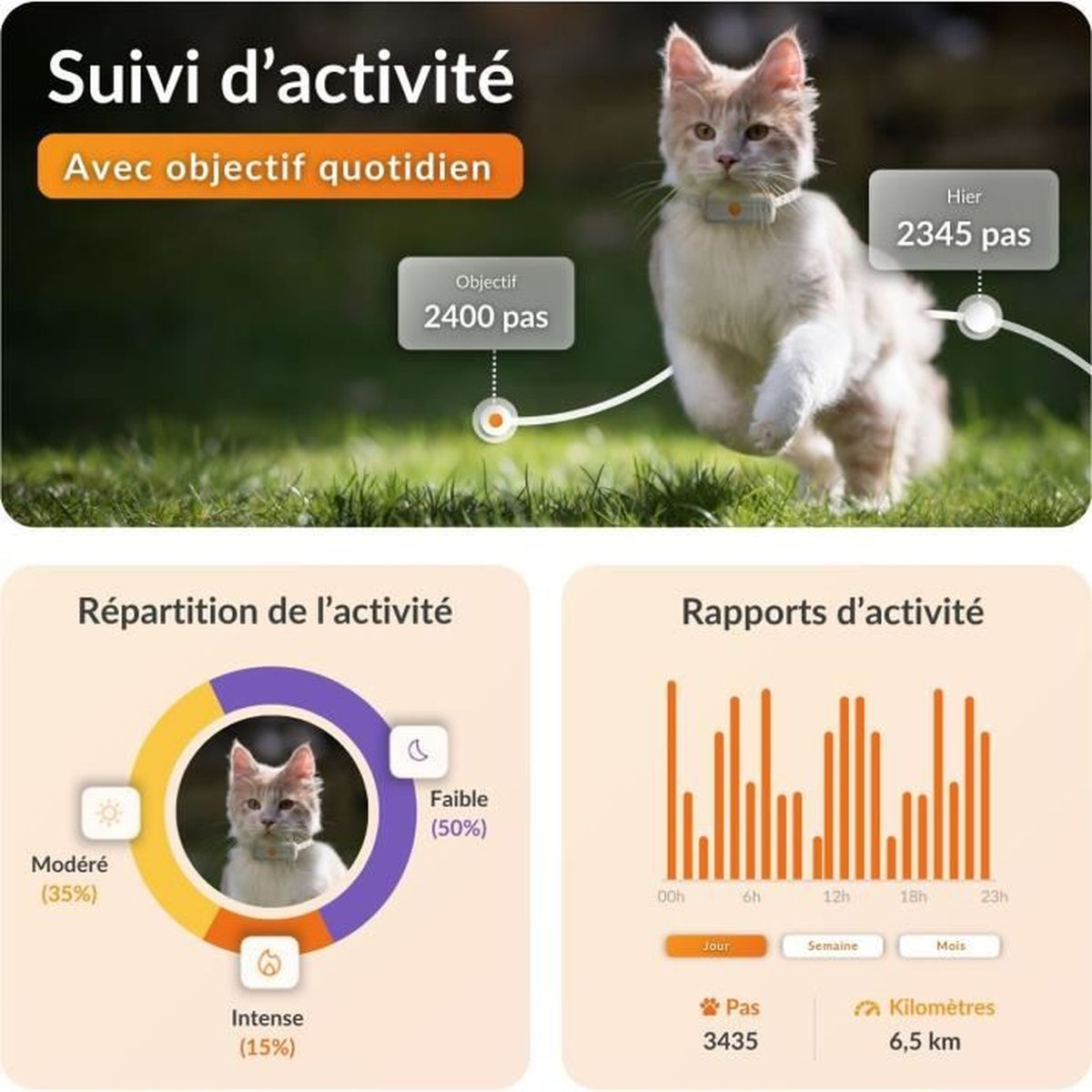 Ein Kätzchen mit einem Aktivitäts-Tracker-Halsband läuft auf Gras. Diagramme zeigen Aktivitätsaufteilung und Berichte.